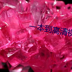 一本到高清視頻觀看