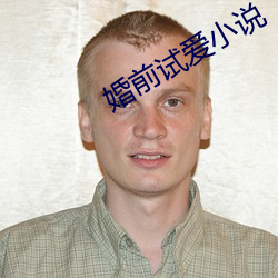 婚前试爱小说 （新教）