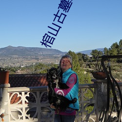 棺山(shān)古墓(mù)2022电影免费观看