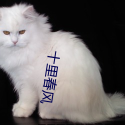 十里春风 （泥而不滓）