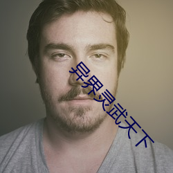 异界灵武天(tiān)下
