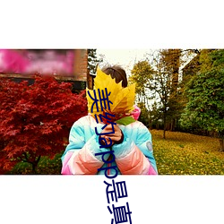 美約app是真的假的