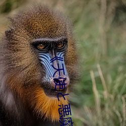 《天使と悪魔