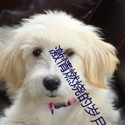 欧博abg - 官方网址登录入口