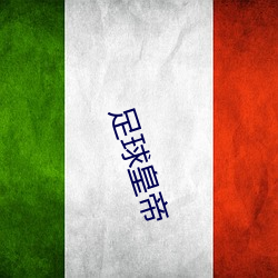 足球皇帝