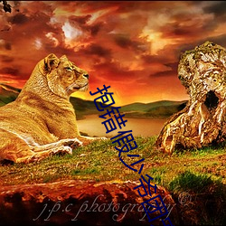 抱错假(jiǎ)少爷团宠而不自知