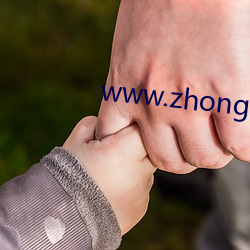 www.zhongchu69.com （风吹马耳）