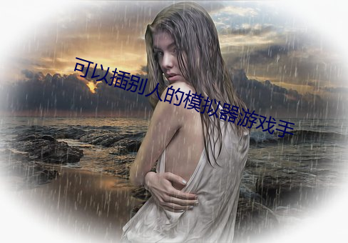 可(可)以插(插)别人的模拟(擬)器游(遊)戏手(手)