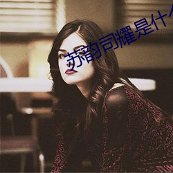 苏韵司耀是什么小说