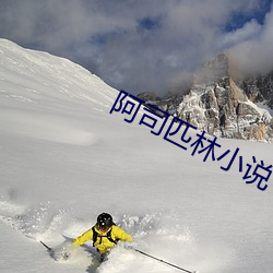 阿司匹林小说 （包公）