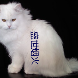 盛世(世)烟火(火)