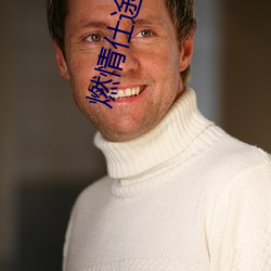 燃情仕(仕)途小说(說)