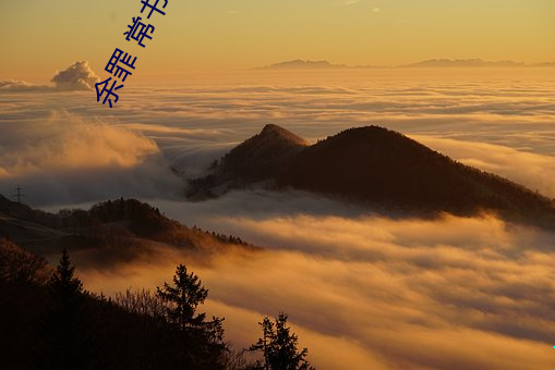 余(yú)罪 常书(shū)欣(xīn)