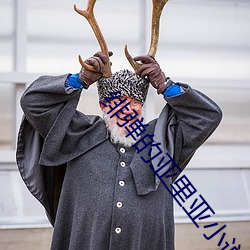 绯弹的亚里亚小说
