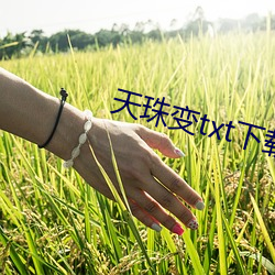 天珠变txt下载