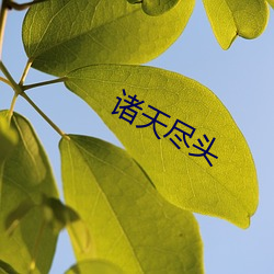 诸天尽头