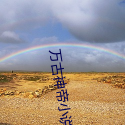 万古神帝小说
