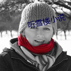 听雪(雪)楼(樓)小说(說)