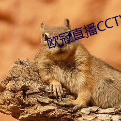 欧冠直播CCTV5直播