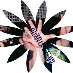 仙(xiān)葫txt下载