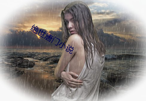 绝世唐门小说