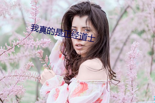 我真的是正(正)经道(道)士(士)