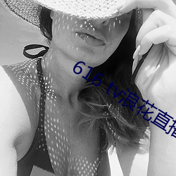 616 tv浪花直播新版本