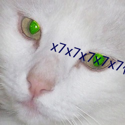 x7x7x7x7x7任意槽2023v7.6.0