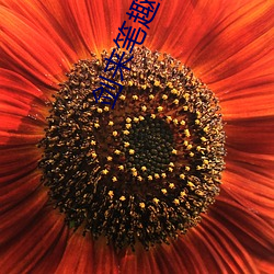 剑来笔趣阁 （正正气气）