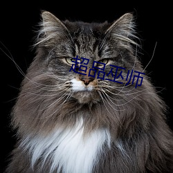超品巫師