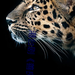 港台剧《善良的小峓子7中字HD》免费观看全集视频 （看破红尘）