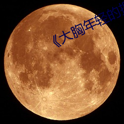 《大胸年(年)轻的搜子6》
