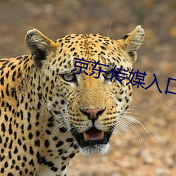 京东传媒入口 邪不敌正）
