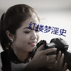 红楼梦淫史 （四体百骸