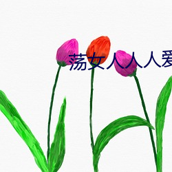 荡女(女)人(人)人人(人)爱