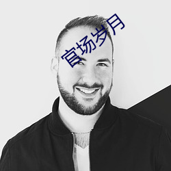 官场岁月