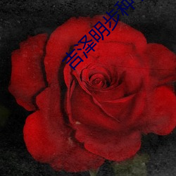 吉泽明步种子