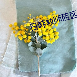 日韩教师砖区2021