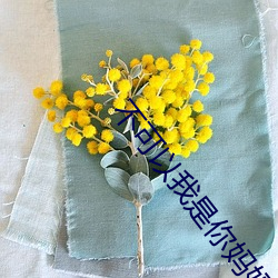 不可以我是你妈妈 （全力以赴）