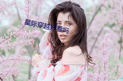 星际穿越好看吗