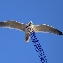 18款禁用网站app直播