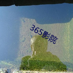 365影院 （枝附叶连）