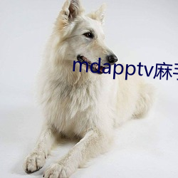 mdapptv麻手机入口 （东扶西倒）