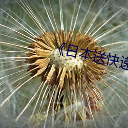 《日本送快递(dì)类影片(piàn)