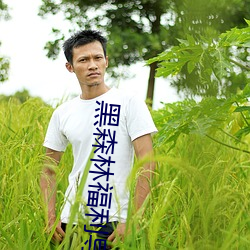 黑森林(林)福(福)利(利)导(導)航(航)