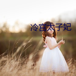 冷(冷)宫太子妃(妃)