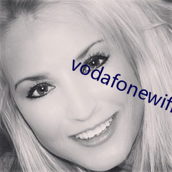 vodafonewifi޴()