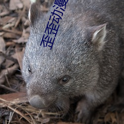 歪(wāi)歪动(dòng)漫首(shǒu)页登漫(màn)画登(dēng)录(lù)页(yè)