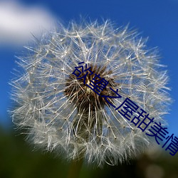 918博天堂·(中国)手机版客户端