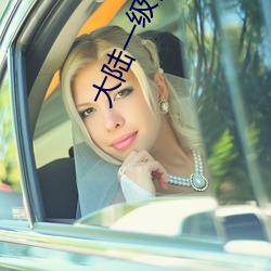 大陆一级肉体片